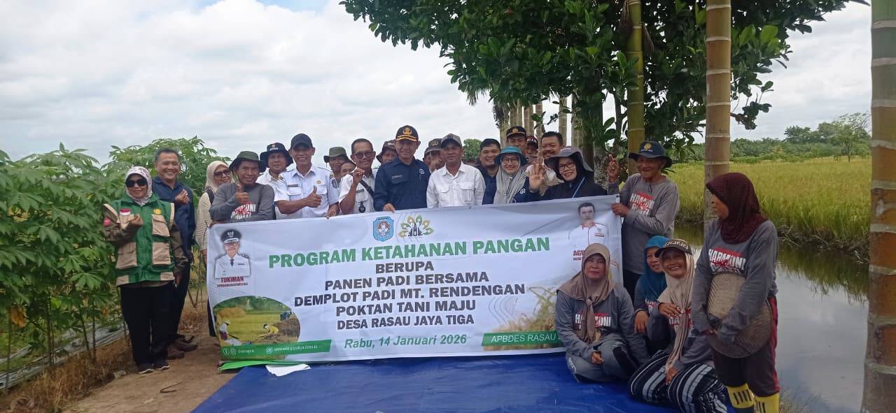 Panen Padi Bersama
