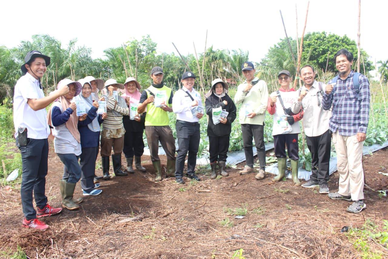 Panen Perdana Bunga Kol di Lahan Gambut