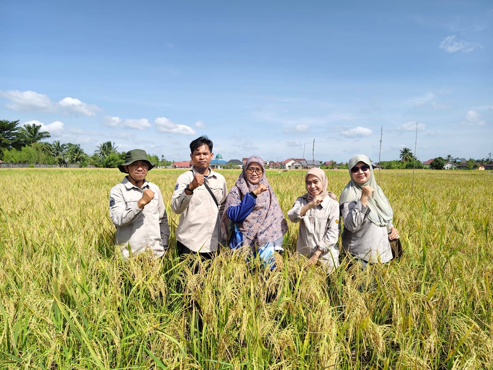 Panen Padi Lebih Sehat! 
